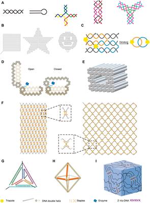 Application of Nucleic Acid Frameworks in the Construction of Nanostructures and Cascade Biocatalysts: Recent Progress and Perspective